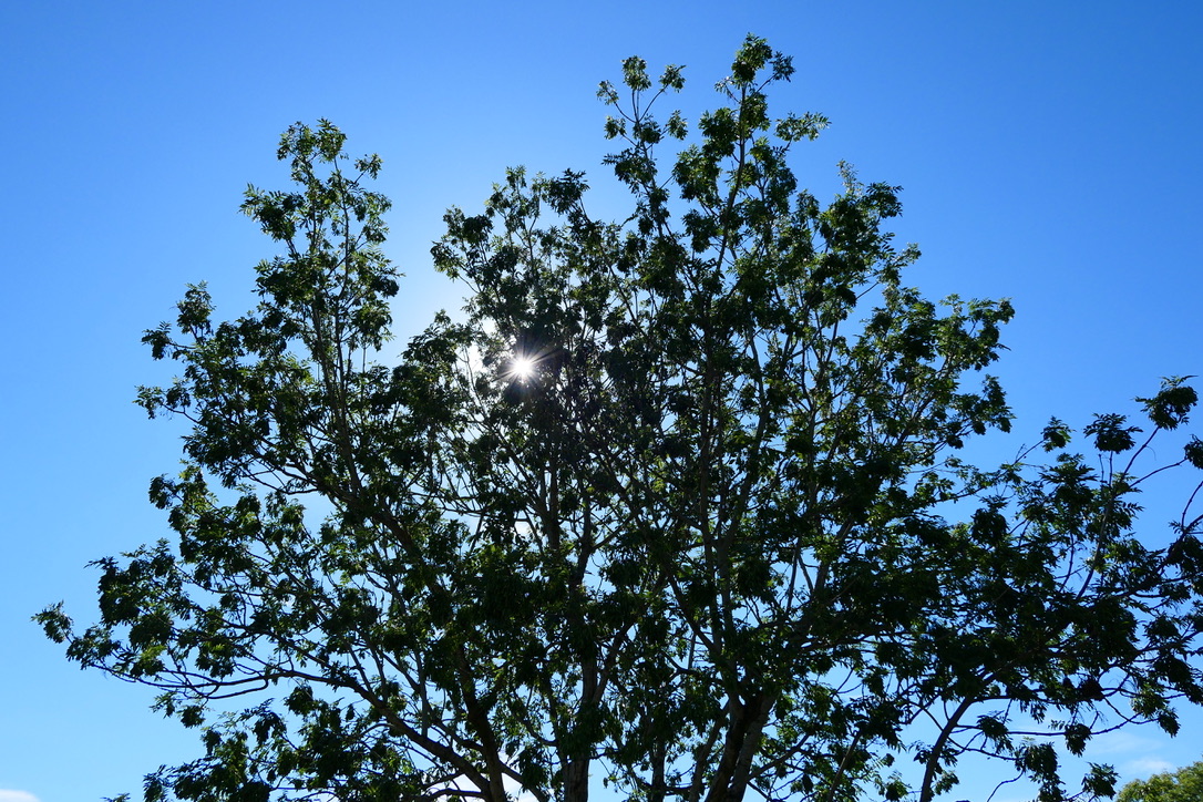 32F79534-156B-491E-8E6D-C96DAA8E401E_1_105_c