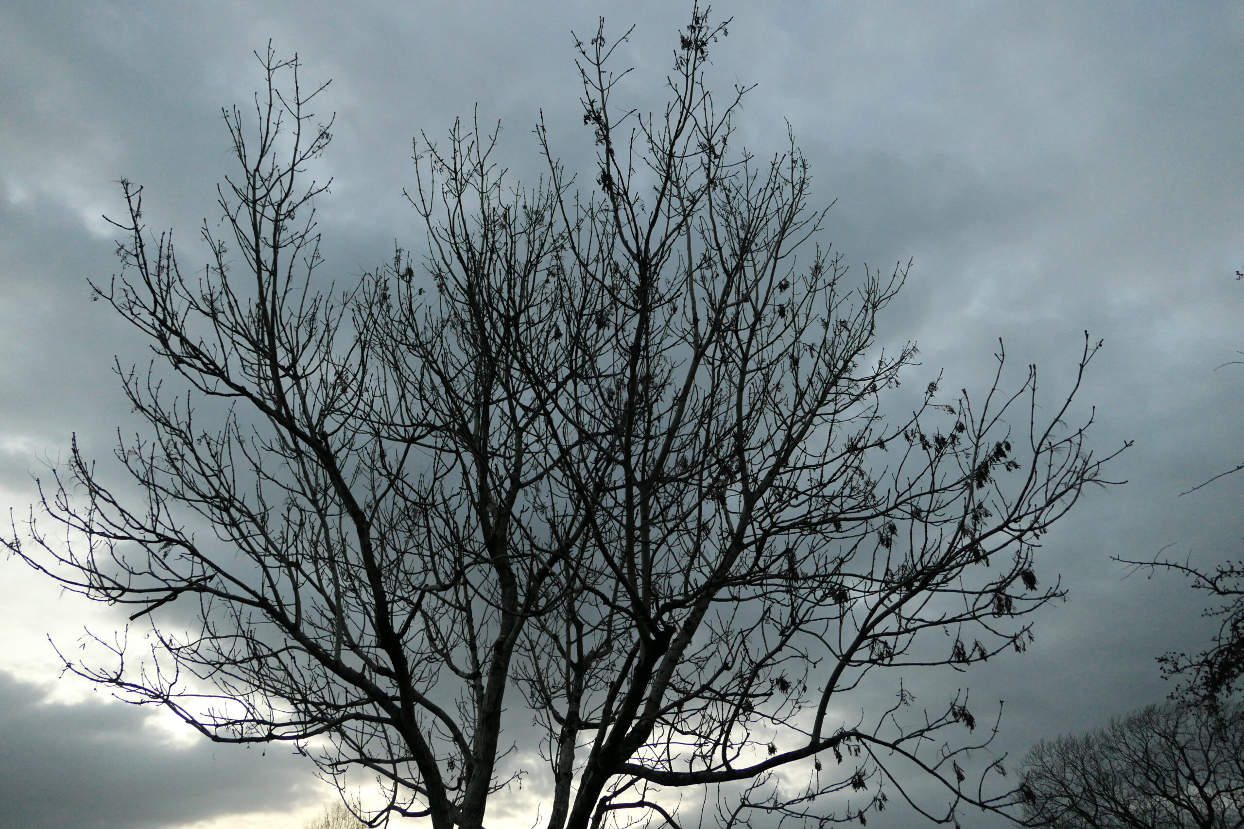 DH Keys to the future