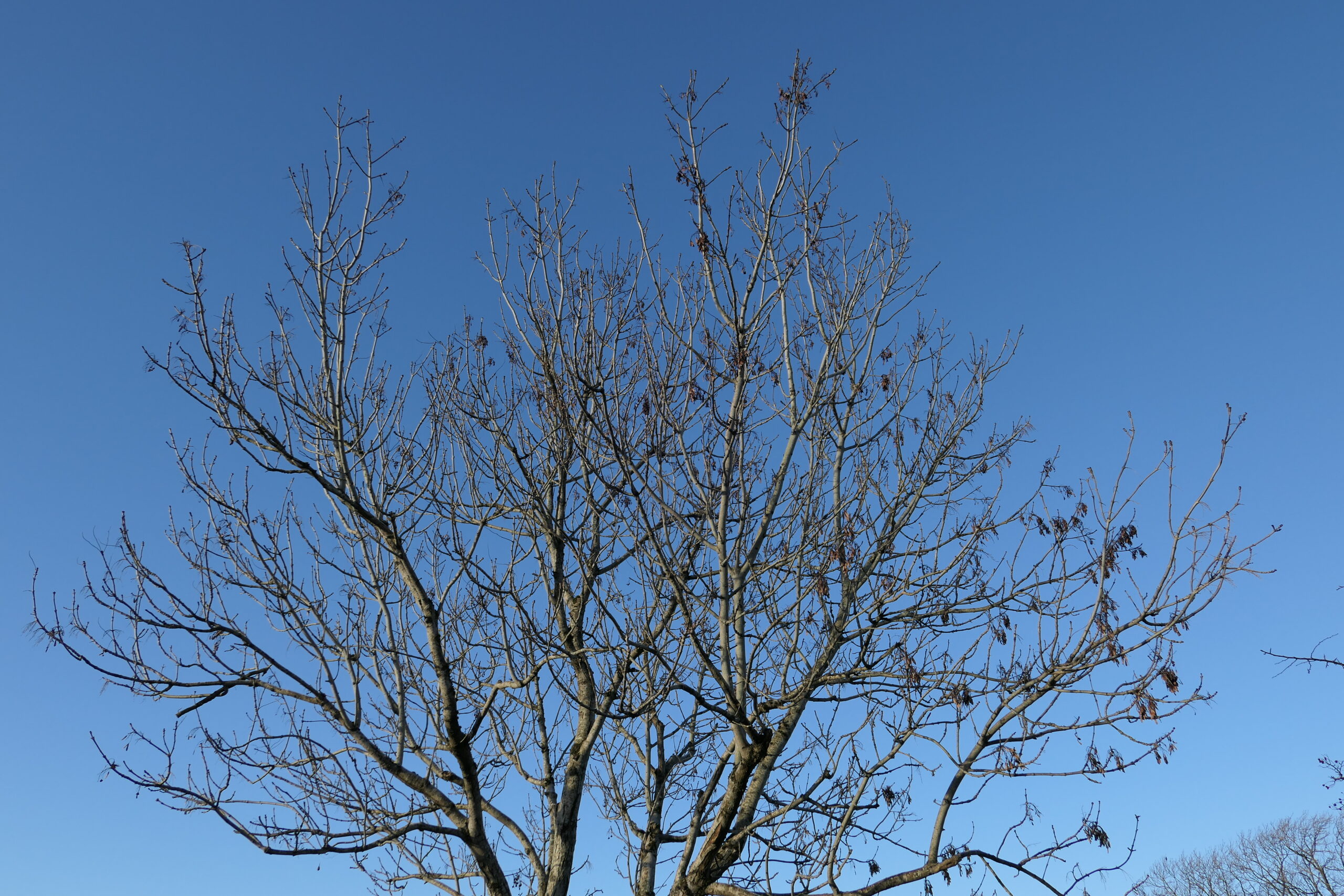 DH Keys to the future2